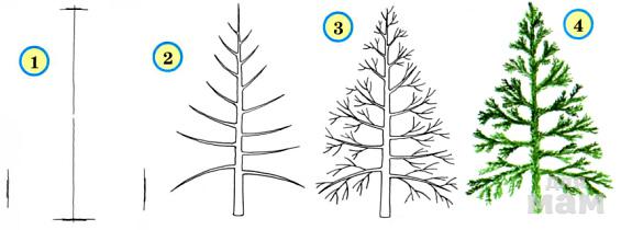 Как нарисовать дерево поэтапно. | Сообщество «Юный художник» | Для мам